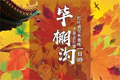 【春花秋葉，夏涼冬雪】-畢棚溝半自由行一日游，成都出發(fā)