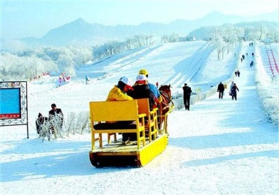 西嶺雪山一日游，離成都最近的滑雪、滑草納涼之地，成都出發(fā)