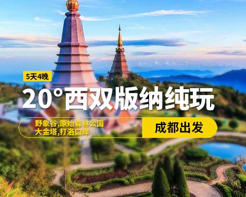 20°西雙版納純玩(5天4晚)15-20人精品小團(tuán)，野象谷，原始森林公園，大金塔，星光夜市，打洛口岸，成都出發(fā)（含往返高鐵票）